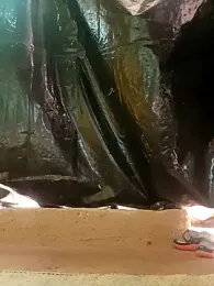 Shiya_janu webcam model stream image