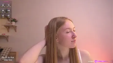 ViviRi webcam model stream image