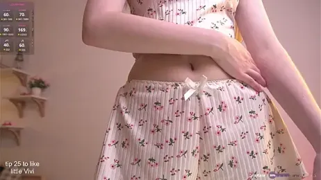 ViviRi webcam model stream image