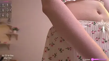 ViviRi webcam model stream image