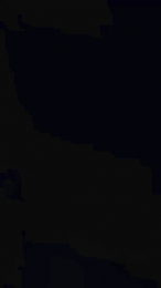 pollon2004lefa webcam model stream image