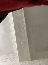 Ni-_haL01 webcam model stream image