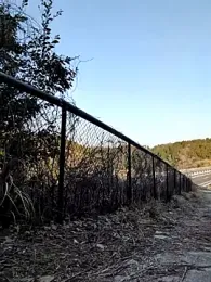 shin_04ji webcam stripchat model stream image