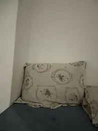 BINHO_ZANARDI webcam model stream image