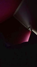 Gatita_mojadit4 webcam model stream image