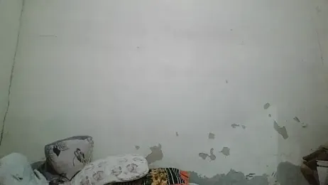 pornstarbrezillian webcam model stream image