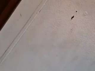 soringer007 webcam model stream image