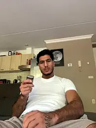 laneingg webcam model stream image