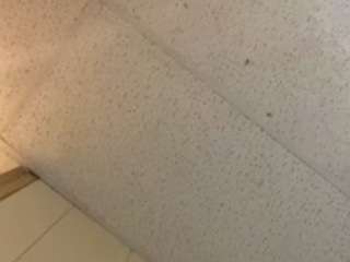 tatiannasweets11 webcam model stream image