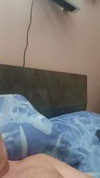 pianet1 webcam model stream image