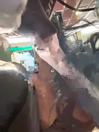 Tisha_Busty webcam model stream image