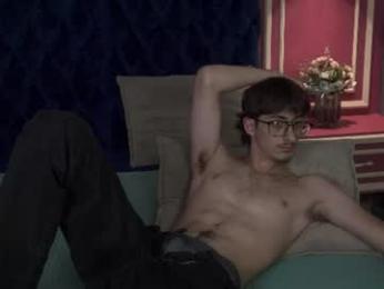 ronbevs webcam model stream image