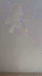 VeiledEros webcam model stream image