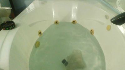 Jrodselec211 webcam model stream image