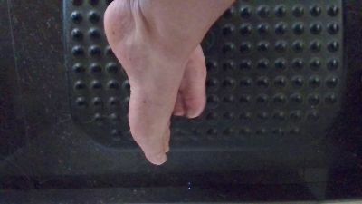 Aria_SP webcam model stream image