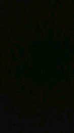 AnonymussOg webcam model stream image