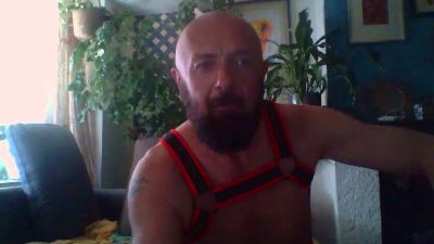 DarksPIGS webcam model stream image