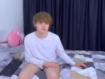 2nc_ webcam model stream image