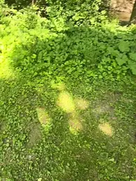 DaiseyKurrupt webcam model stream image