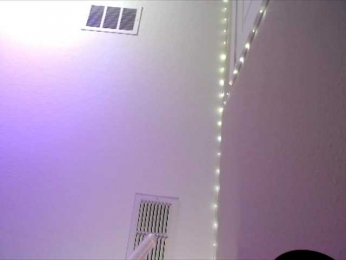 PrincessXOXO webcam model stream image