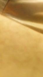 JavideSuarez31 webcam model stream image