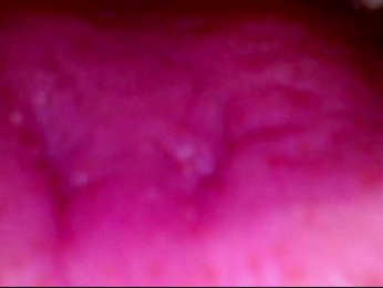 Shannon-kane webcam bongacams model stream image