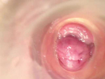 Shannon-kane webcam model stream image