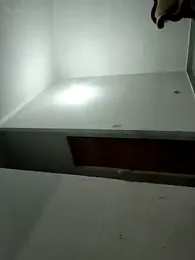 lunaywolfgray webcam model stream image