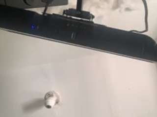 jessiebayyyy webcam model stream image