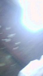 Thiagom00 webcam cam4 model stream image