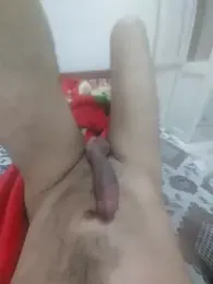 3anntel webcam model stream image