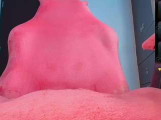 palo-santo06 webcam model stream image