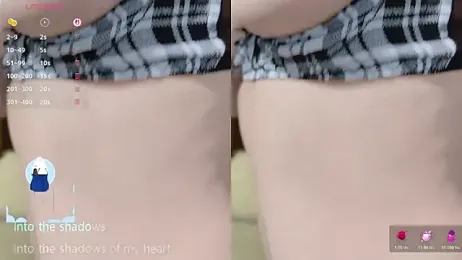 Vaidurya-Yolo webcam model stream image