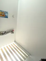 anli5 webcam model stream image