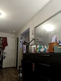 Wetkitty911 webcam model stream image