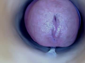 paulainoscente webcam model stream image