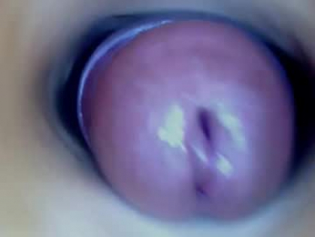 paulainoscente webcam model stream image