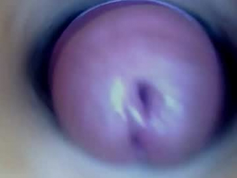paulainoscente webcam chaturbate model stream image