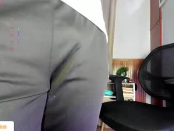 mason_fit webcam model stream image