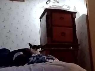 mmike14 webcam model stream image