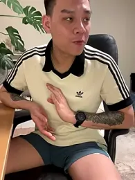 latava webcam model stream image