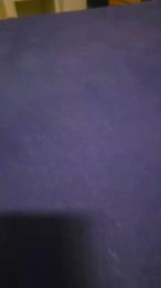 419xx webcam model stream image