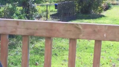 AlexMeadows webcam model stream image