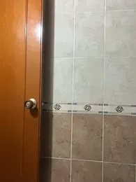 Gym-Latin webcam preview