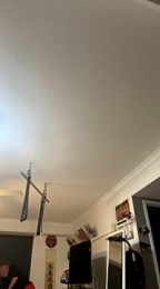 OSIRlS webcam model stream image