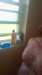 Billy_Preston webcam model stream image