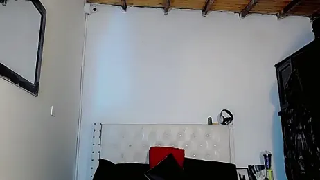 VIENNABR_S7 webcam model stream image