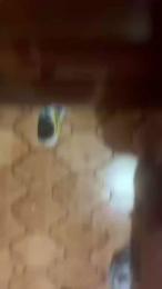 Alessio93ct webcam model stream image