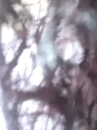 Doll_Nepali webcam model stream image