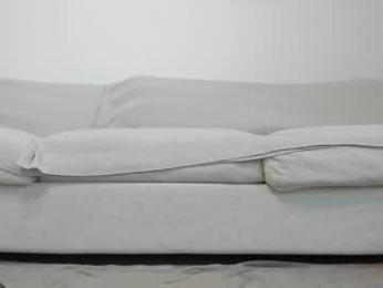 anayscaandy webcam model stream image